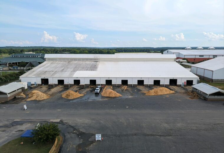 Commercial Pressure Washing